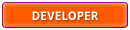 WS Developer